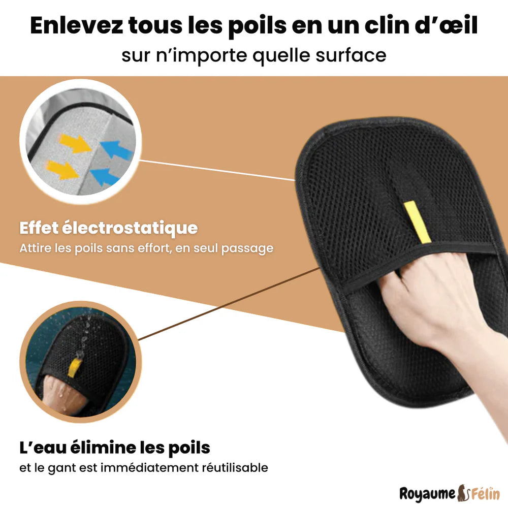 Pack de 3 Gants Statiques Attrape-Poils