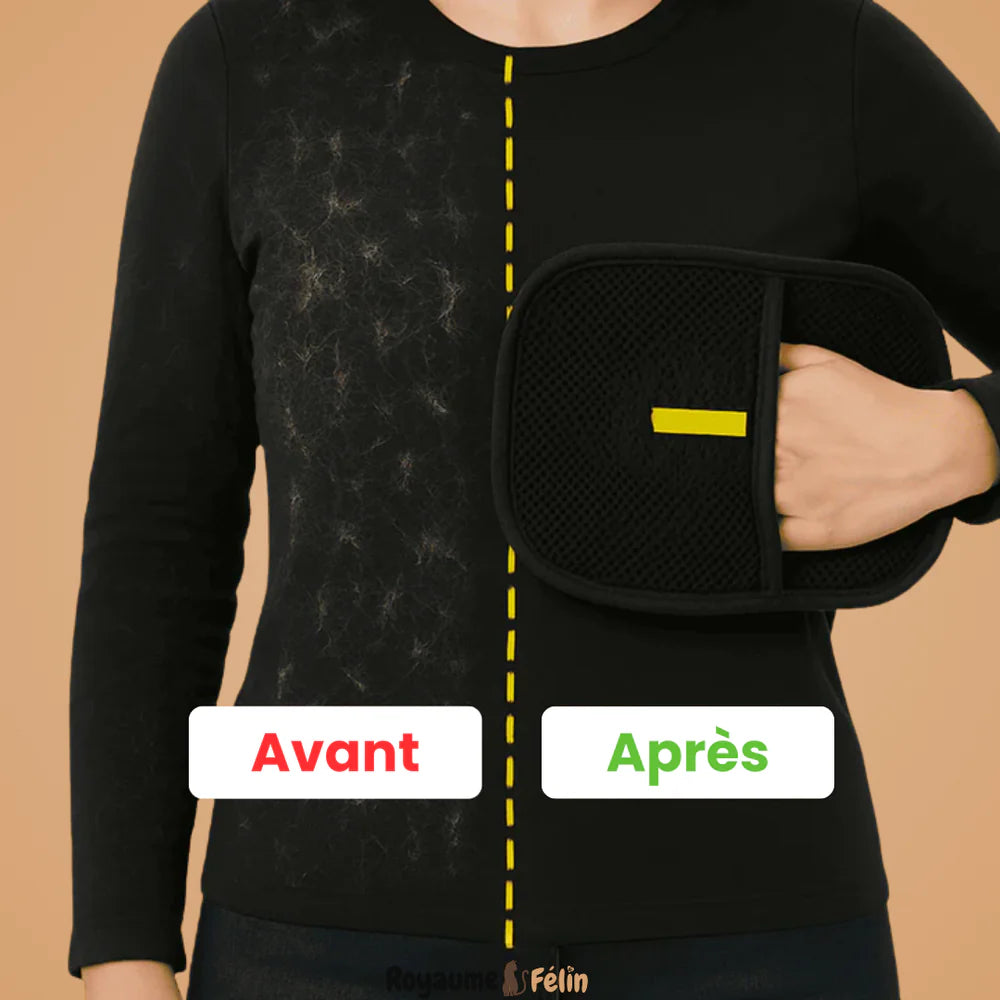 Pack de 3 Gants Statiques Attrape-Poils