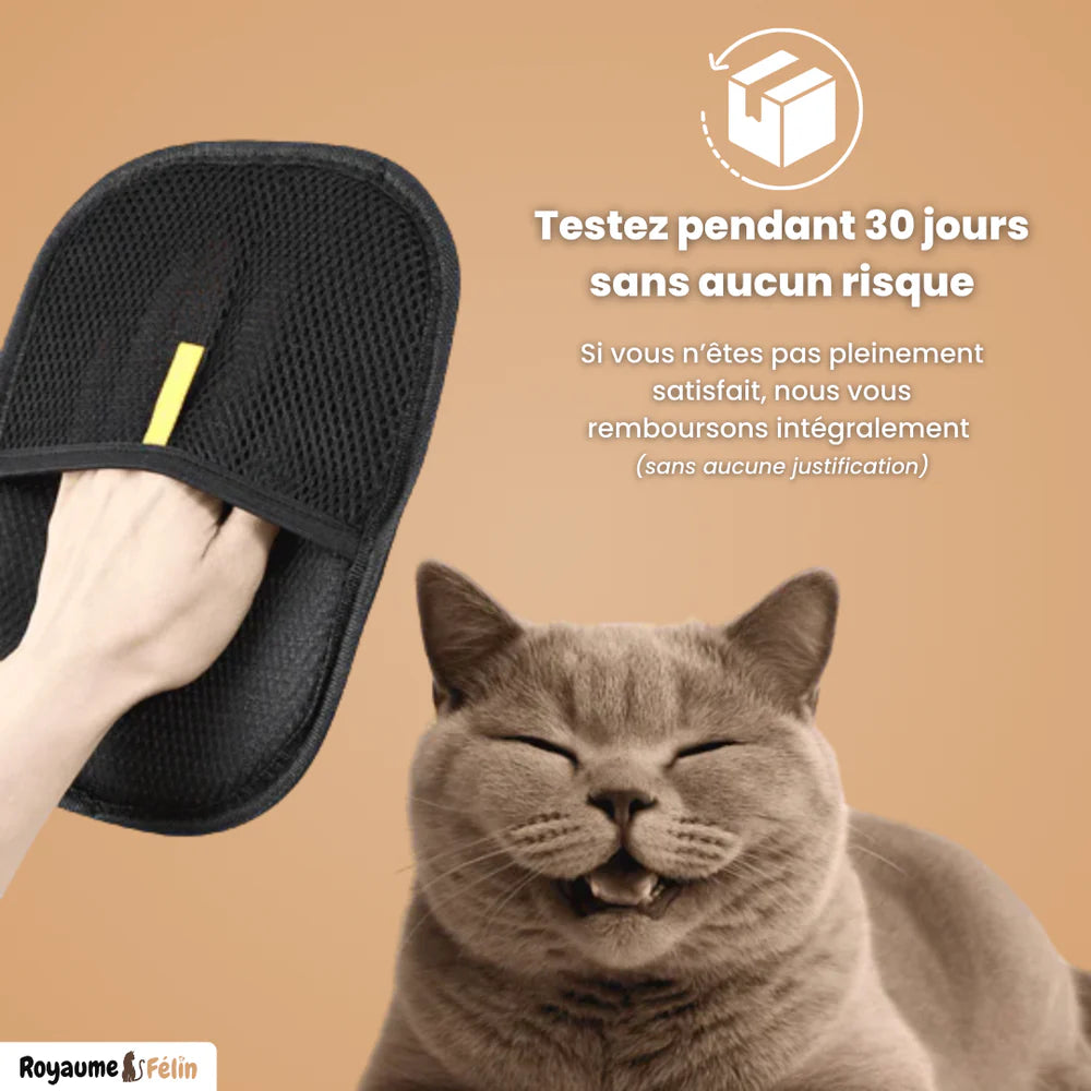 Pack de 3 Gants Statiques Attrape-Poils